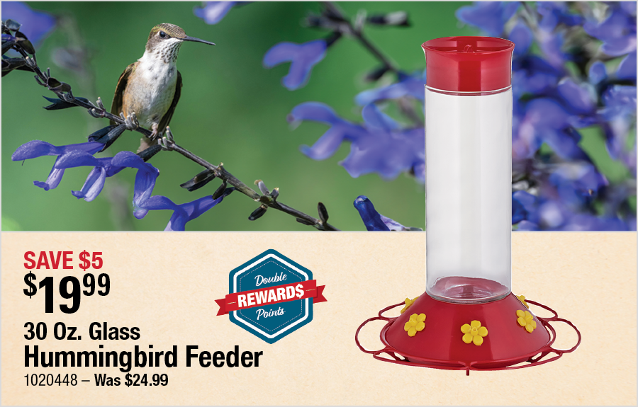 32 Oz. Glass Hummingbird Feeder